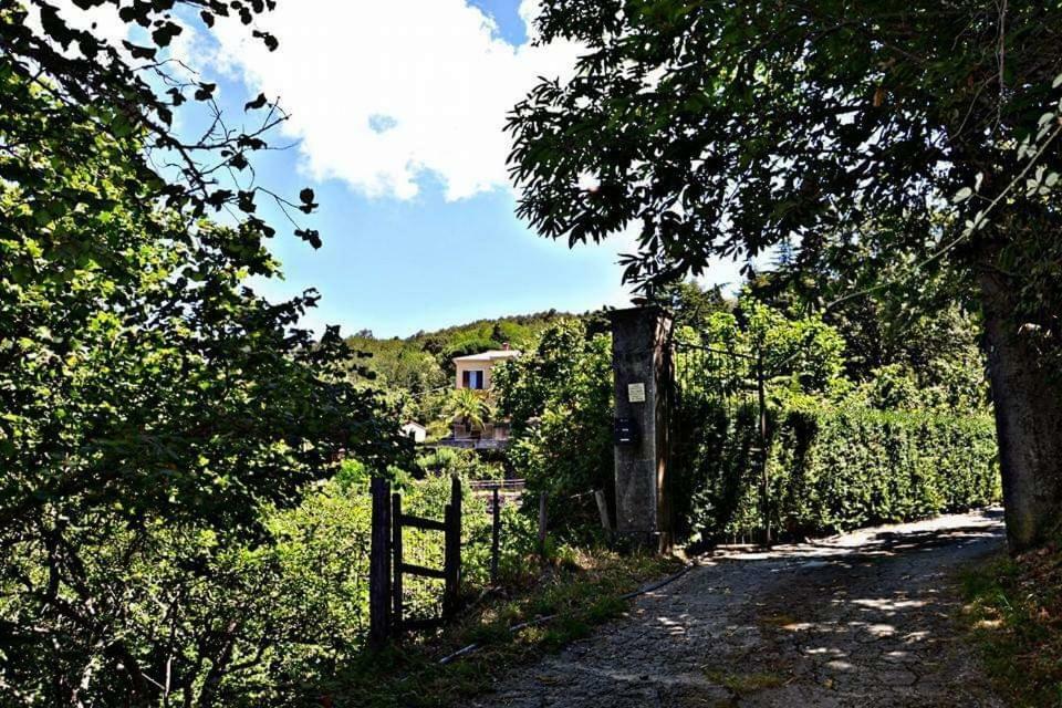 Valle Maira, Agriturismo Nel Parco Dei Nebrodi Villa Tortorici Eksteriør bilde