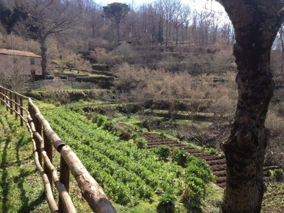Valle Maira, Agriturismo Nel Parco Dei Nebrodi Villa Tortorici Eksteriør bilde