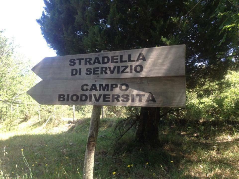 Valle Maira, Agriturismo Nel Parco Dei Nebrodi Villa Tortorici Eksteriør bilde
