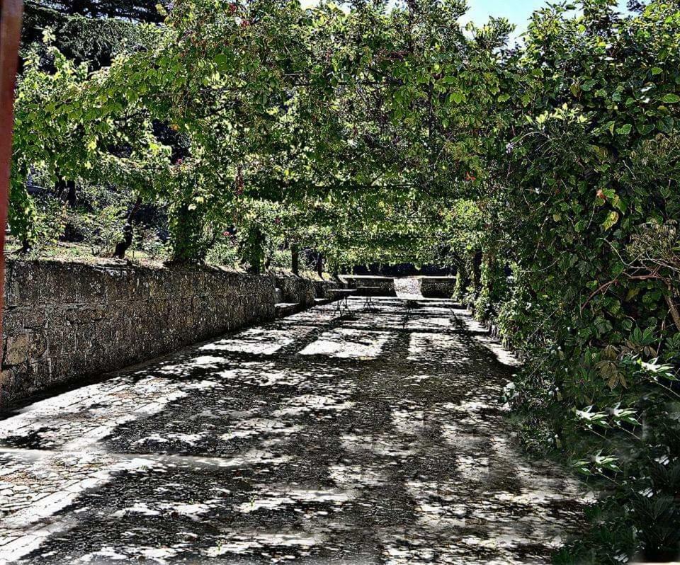 Valle Maira, Agriturismo Nel Parco Dei Nebrodi Villa Tortorici Eksteriør bilde